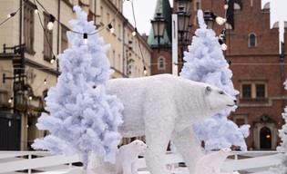 Poślizgaj się w Rynku!