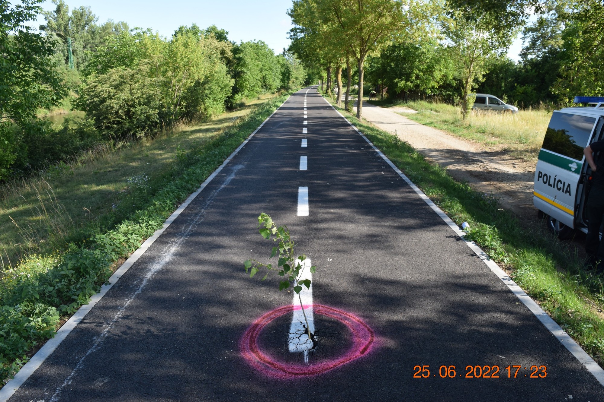 Úsek z Piešťan smerom na Hornú Stredu sa stal dejiskom viacerých nehôd cyklistov.