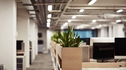 bez cudzoziemców gospodarka będzie hamować