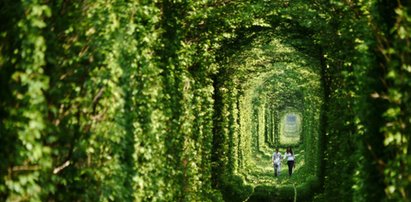 Ten tunel kryje w sobie zagadkę