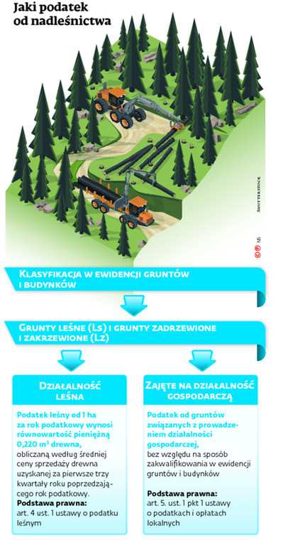 Jaki podatek od nadleśnictwa