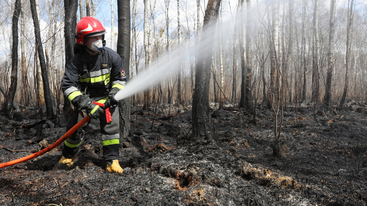 Pożar w Biebrzańskim Parku Narodowym: w nocy dozór z ziemi i drona