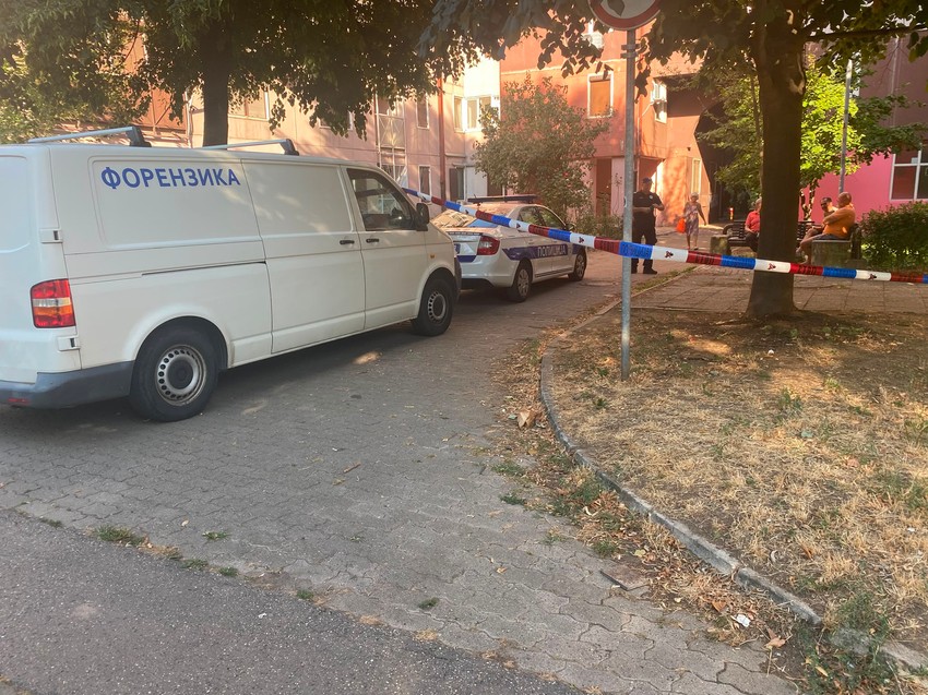 Bežanijska kosa hronika
