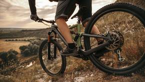 Beliebte Mountainbikes für Damen und Herren im Vergleich