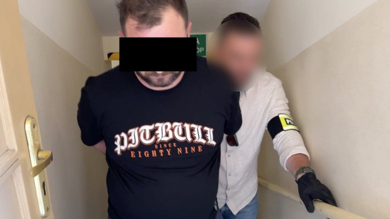 Zmuszali kobiety do prostytucji. Gang sutenerów rozbity