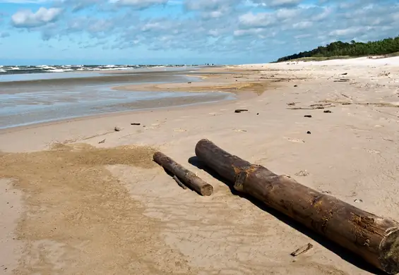 Wielkie sprzątanie plaż, Czysty Bałtyk po raz pierwszy