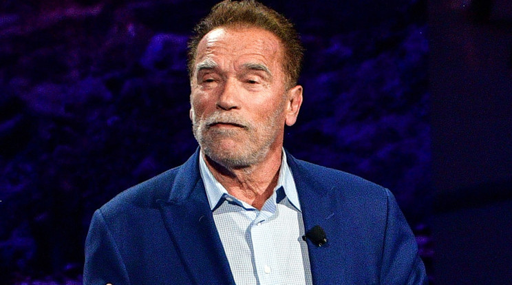 Arnold Schwarzenegger vesztesnek nevezte az antiszemitákat /Fotó: Northfoto