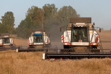 Syberia może przynieść fortuny inwestorom. Tym, którym uda się tam wejść zaraz po wojnie