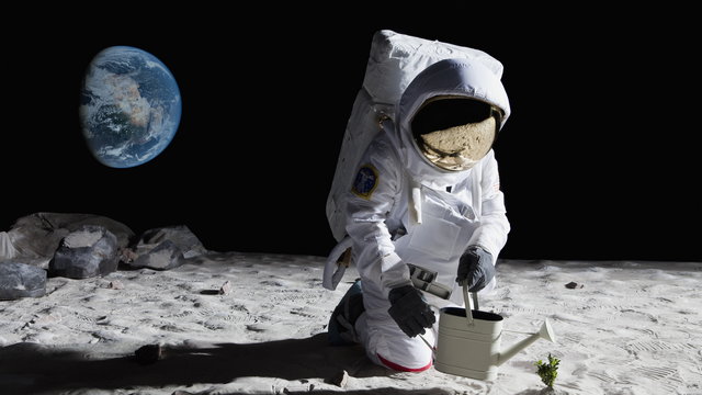 2036-ra magyar űrhajós is mehet a Holdra