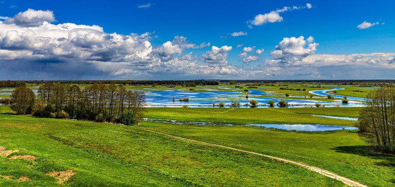 Biebrzański Park Narodowy