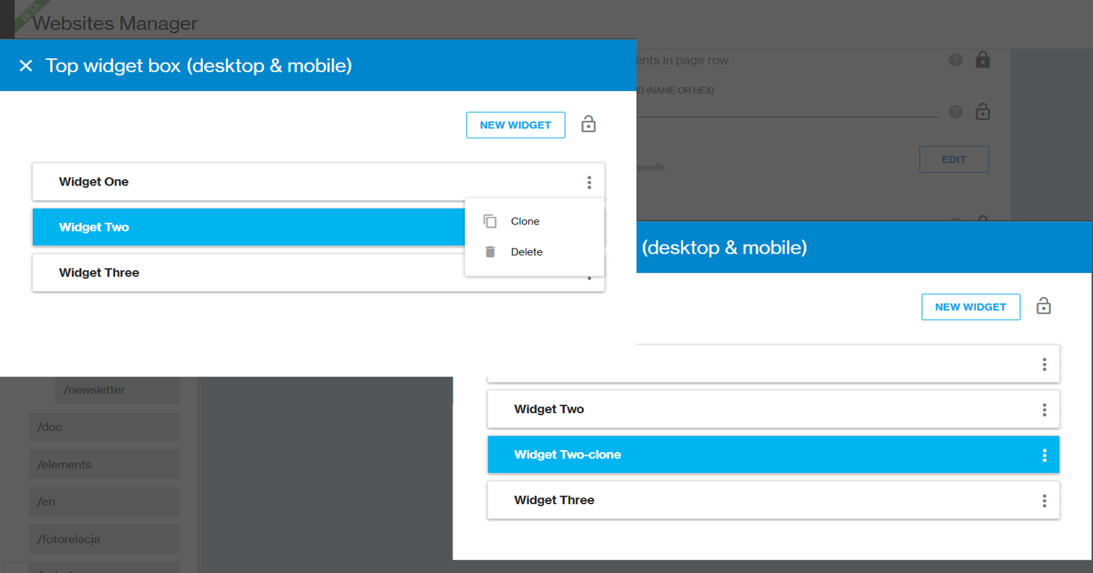 Clone widgets in Websites Manager | What's new in Ring Publishing?