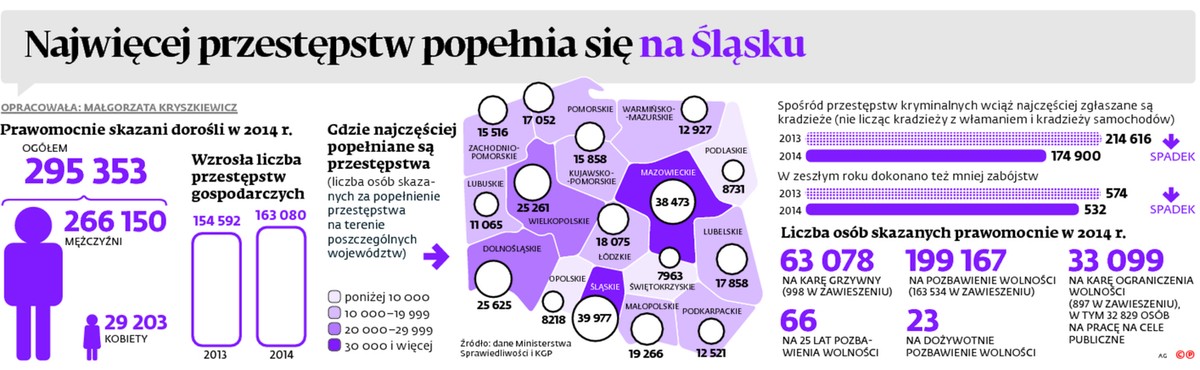 Najwięcej przestępstw popełnia się na Śląsku
