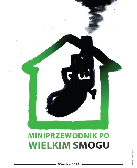 Przewodnik po smogu