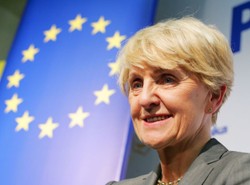 Zobacz majątek polskich europosłów