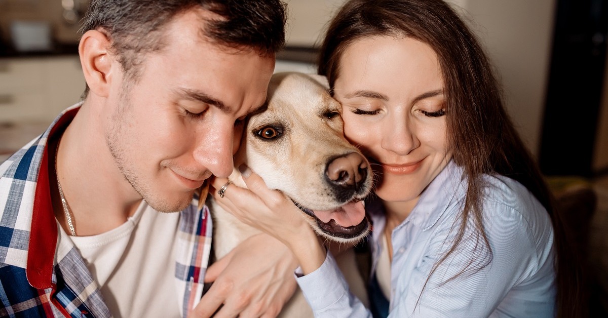 500 plus na psa i kota 2025. Ostatni moment na wniosek. Sprawdź zasady i listę miast