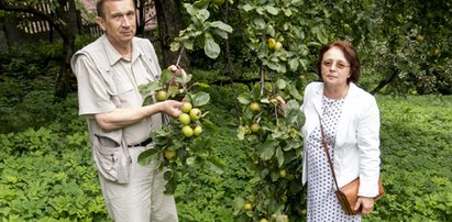 Komornik sprzedał naszą działkę, za nie nasze długi!