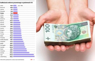 Brak zaufania do banków ratuje gospodarkę. Polski sektor prywatny bez długu