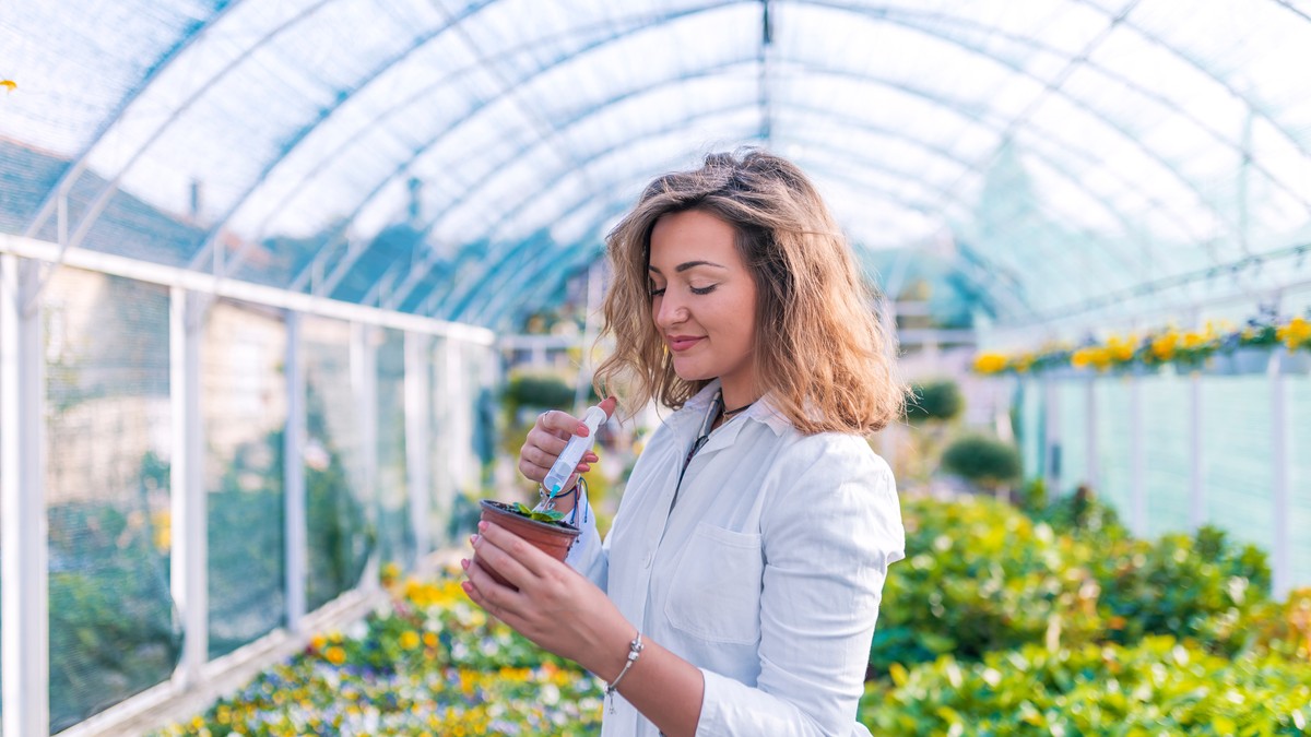 Ovo su najtraženije sadnice i semena: Inženjer poljoprivrede daje savete za prolećnu setvu, evo kako do boljih prinosa