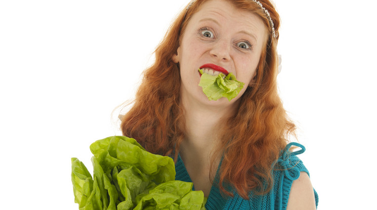Ezért nem lakunk jól akár egy kiló salátától sem / Fotó: Northfoto
