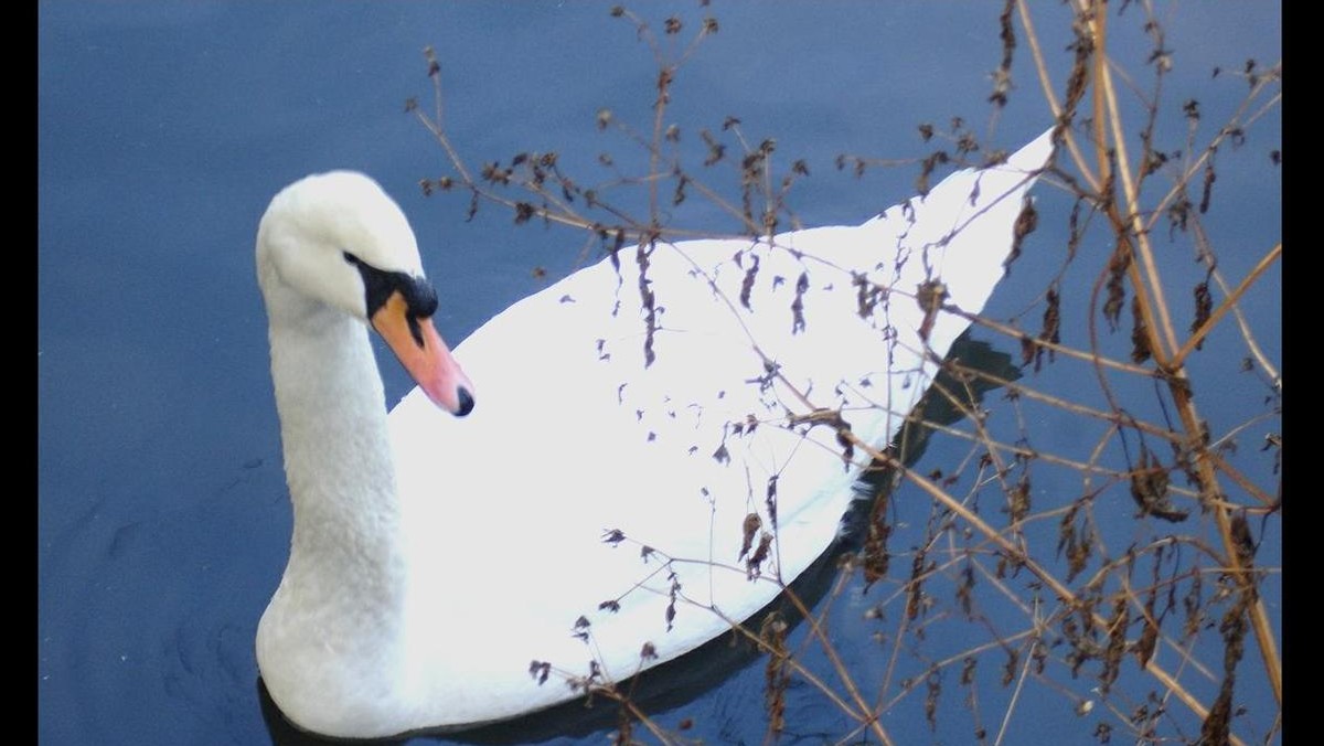 kasia lalala - Zima Park Sołacki Poznań