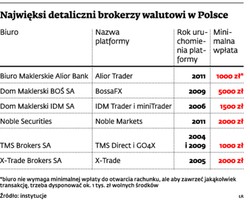 Inwestycje na rynku walutowym: łatwiej stracić, niż zarobić