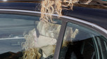 Courtney Love wsiadając do samochodu  przytrzasnęła sobie włosy drzwiami