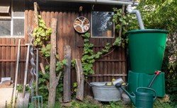 Deszczówka. Czy warto ją zbierać? Jak ją wykorzystać w ogrodzie?