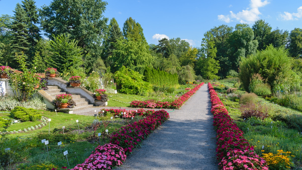 Najstarszy ogród botaniczny wciąż zamknięty, mimo że wiosna w pełni