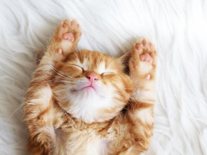 8-9 óránál nem ajánlott többet aludni, kivéve ezeket az eseteket!