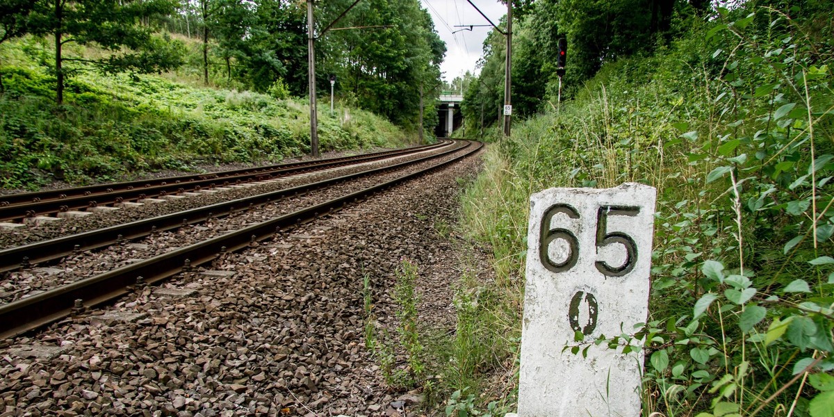 65. kilometr trasy kolejowej między Wrocławiem i Wałbrzychem. To tu ma być ukryty złoty pociąg