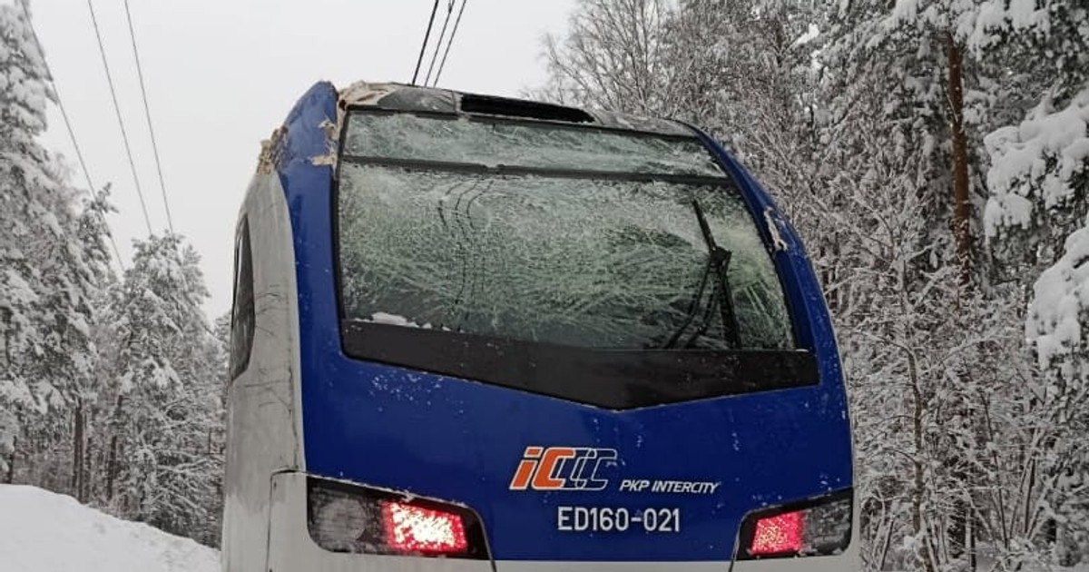 Pociąg stanął przy lesie. Do północny wstrzymali ruch. Pilny komunikat PKP