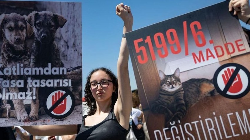 Neki su protestovali zbog planiranog zakona. ali ankete pokazuju da većina misli da nešto mora da se preduzme | Foto: Getty Images