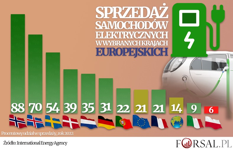 Sprzedaż samochodów elektrycznych w wybranych krajach europejskich