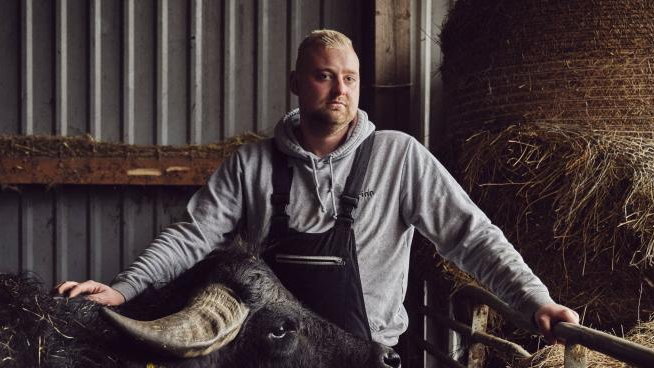 Oprócz krów mlecznych, Finn Strüven hoduje na farmie sześć bawołów wodnych