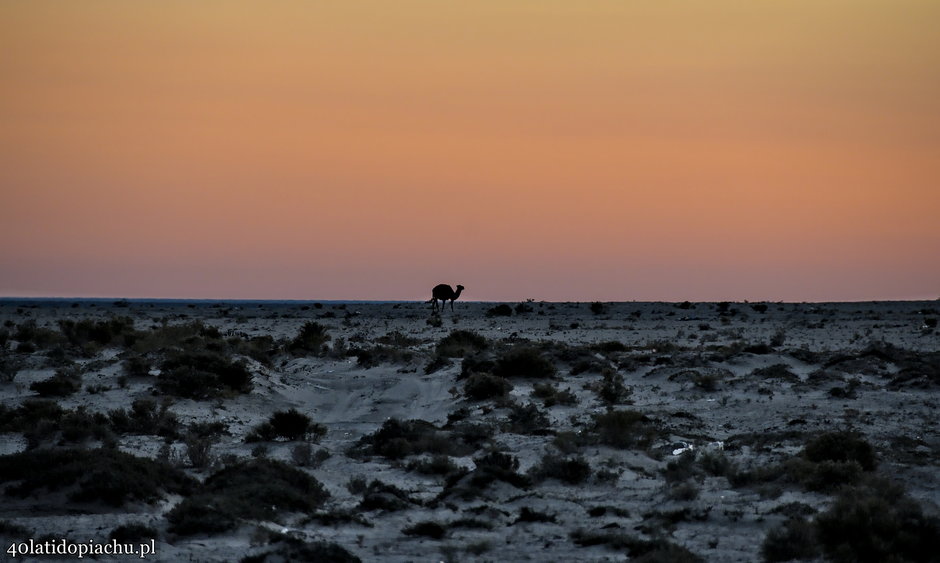 Aralsk, jezioro Aralskie i okolice