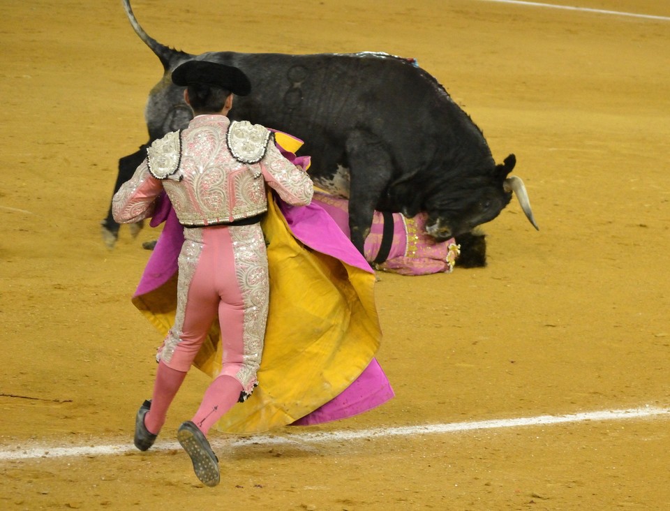 Bullfighter Juan Jose Padilla