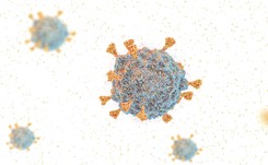 Szef WHO: Mamy konkretne dowody na to, że Omikron zakaża szybciej niż Delta