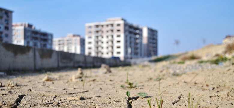 Coraz częstsze susze. Na Ziemi będzie ubywać wody. PONURE PROGNOZY naukowców