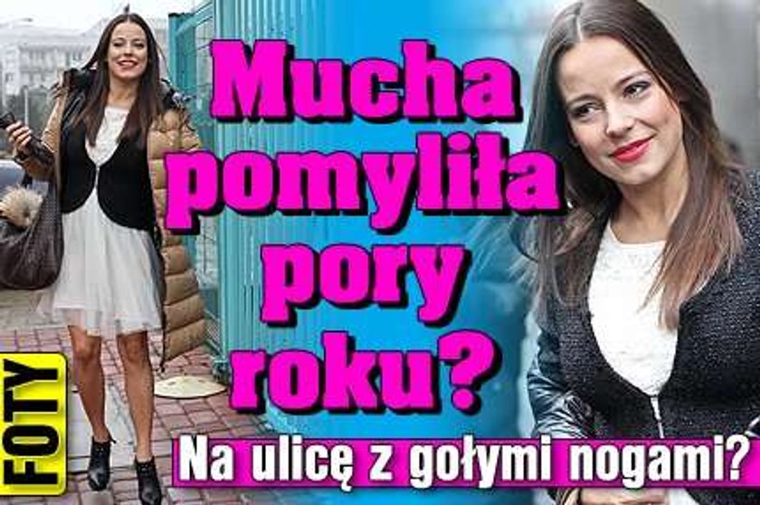 Mucha pomyliła pory roku? Na ulicę z gołymi nogami?