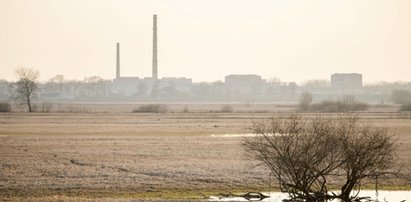 Trudna sytuacja w Kaliningradzie. Rozdają pracownikom działki, żeby zasadzili sobie ziemniaki...