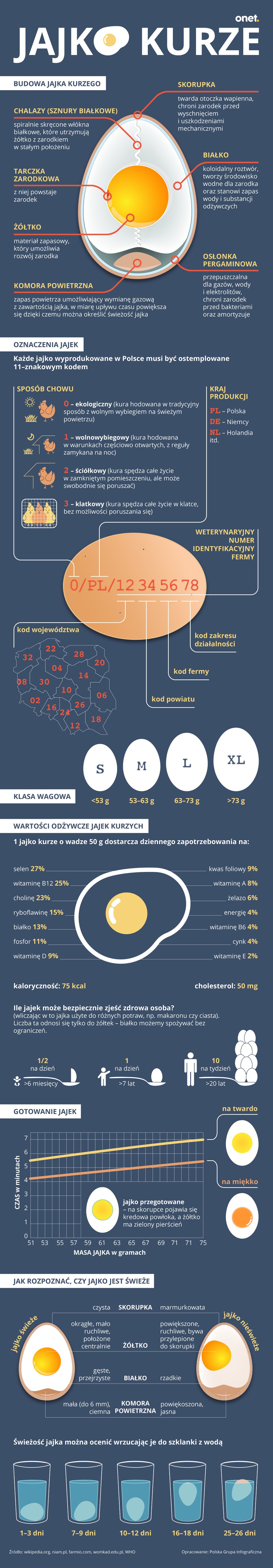 jajka_infografika