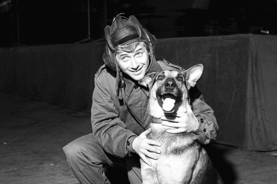 Najbardziej znany pies czasów PRL. Jak trafił na plan kultowego serialu?