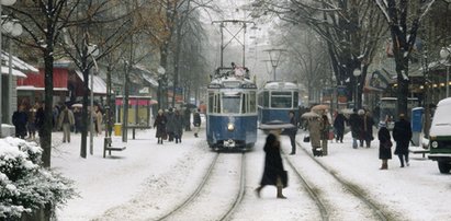 Tramwaj wykoleił się i wjechał w sklep