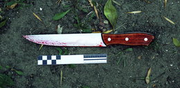 Szok na Śląsku. 11-latek z nożem w ręku zaatakował 7-latka