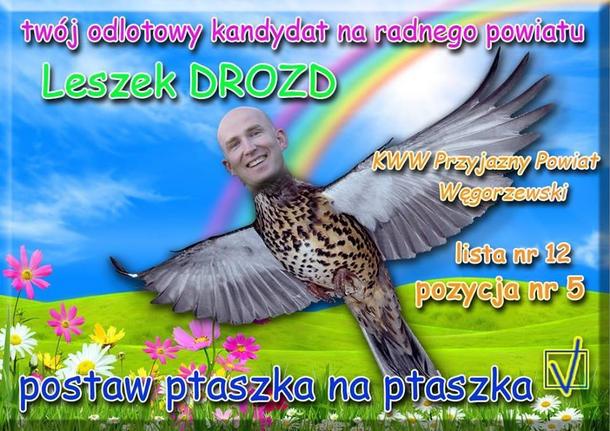 wybory samorządowe polityka