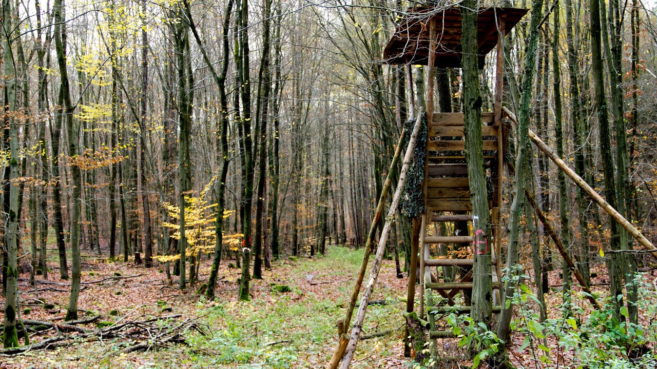 Myśliwy postrzelił kolegę podczas rozkładania broni. Policja bada sprawę