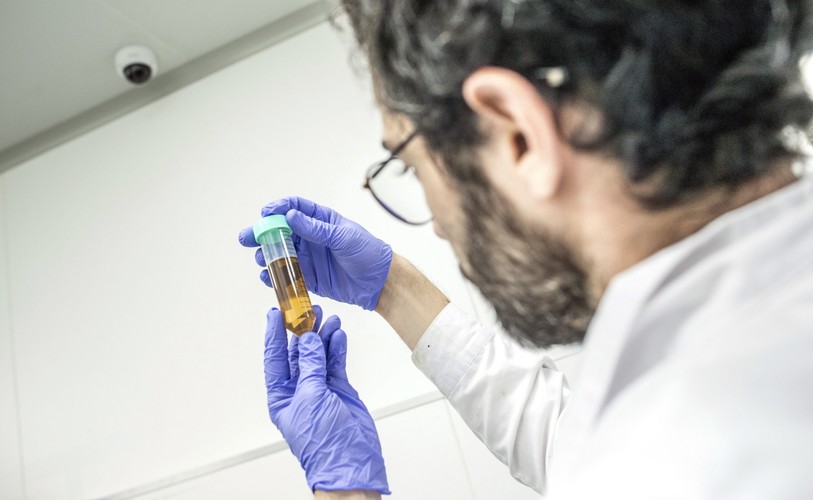 PRODUKCJA MEDYCZNEJ MARIHUANY W IZRAELU