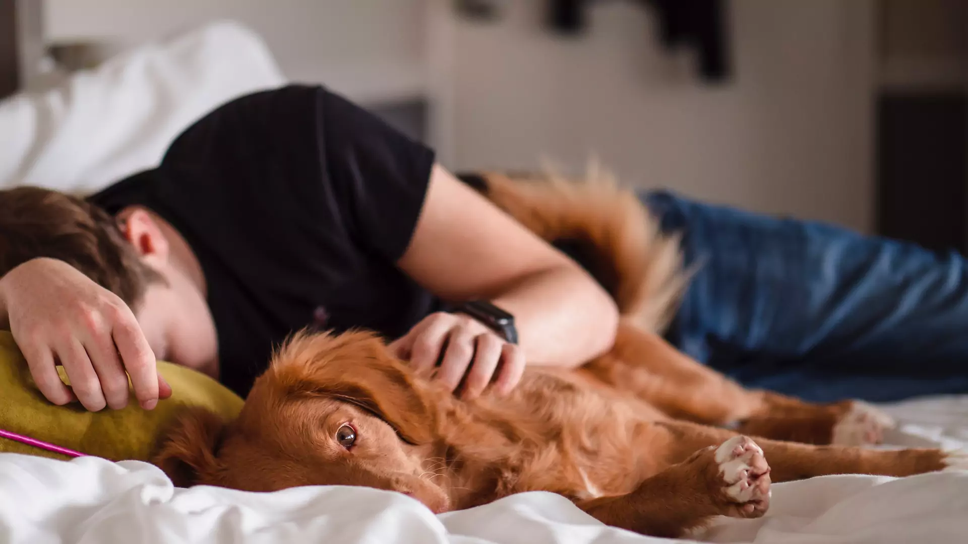 Jak śpią znaki zodiaku? "Waga potrzebuje kilku godzin więcej"