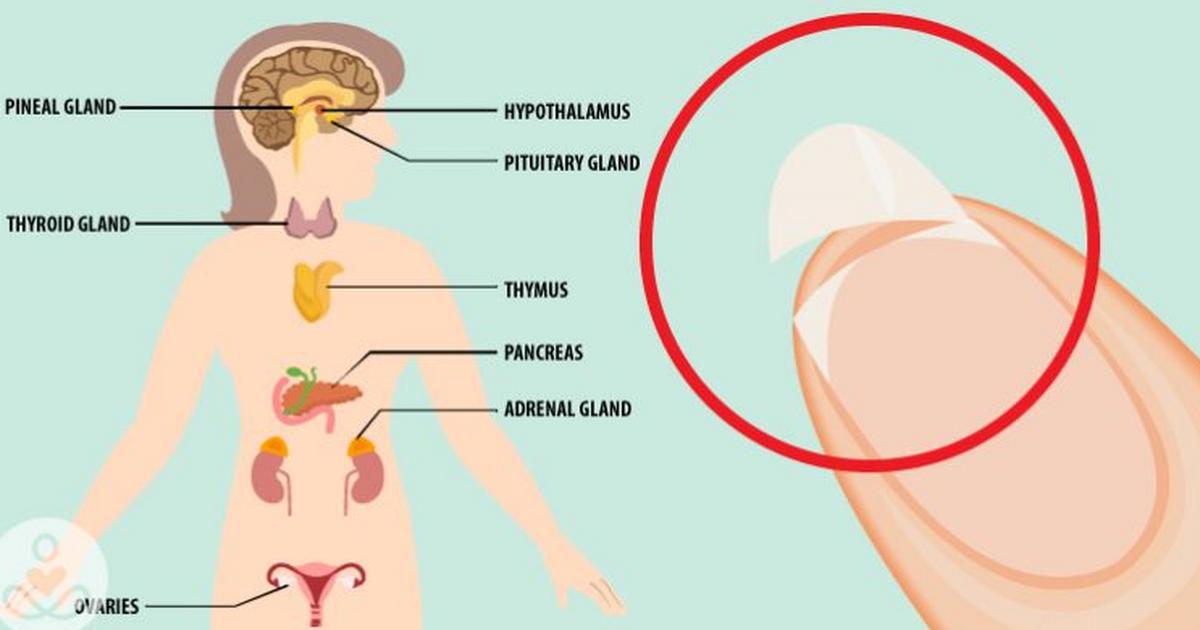 pituitary gland hormones imbalance