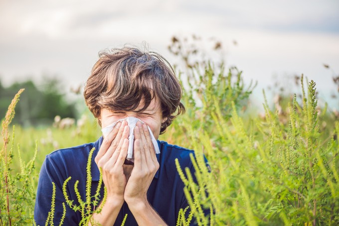 Ezekről a tünetekről ismerhető fel az allergiás asztma